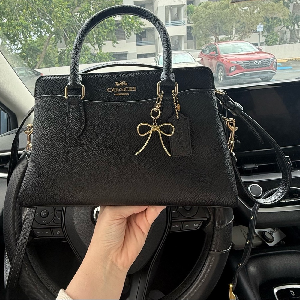 Coach Mini Darcie Carryall